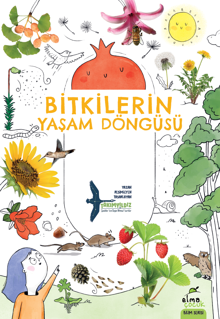 Bitkilerin Yaşam Döngüsü